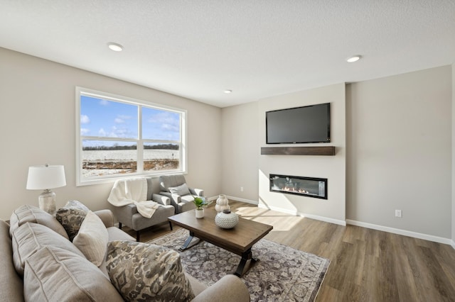 757 Greywood Blvd SW, Delano, MN 55328 - living room featuring wood finished floors, a glass covered fireplace, recessed lighting, and a textured ceiling