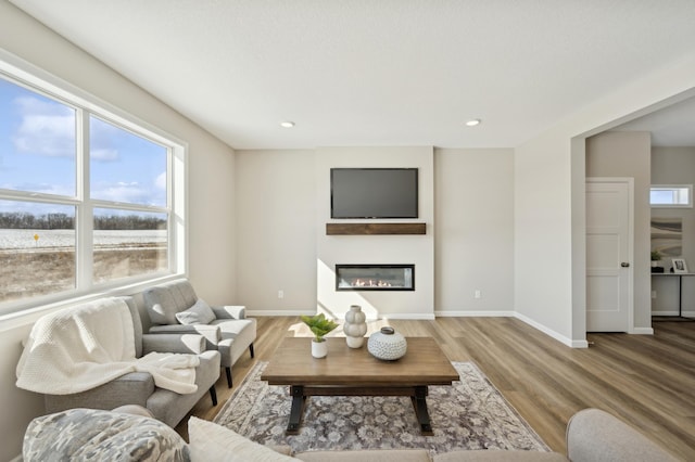 757 Greywood Blvd SW, Delano, MN 55328 - living room with wood finished floors, a glass covered fireplace, and recessed lighting