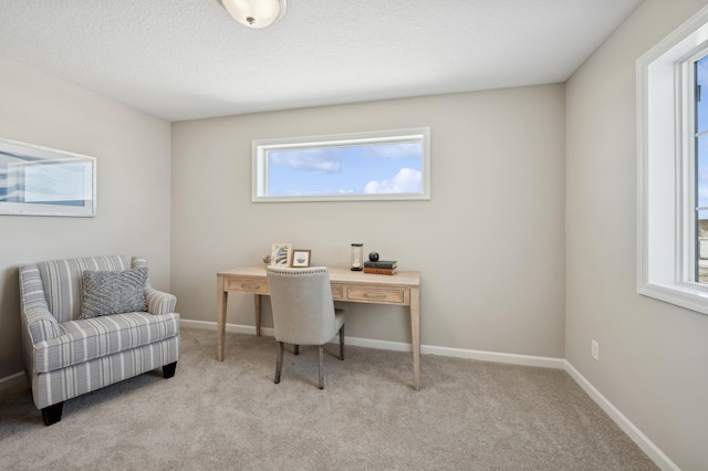 757 Greywood Blvd SW, Delano, MN 55328 - carpeted home office featuring baseboards