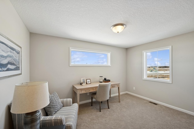 757 Greywood Blvd SW, Delano, MN 55328 - home office featuring light carpet and a textured ceiling