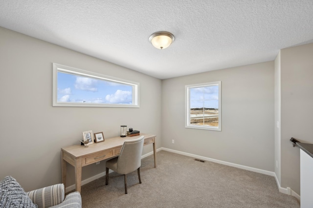 757 Greywood Blvd SW, Delano, MN 55328 - office featuring healthy amount of natural light, light carpet, and a textured ceiling