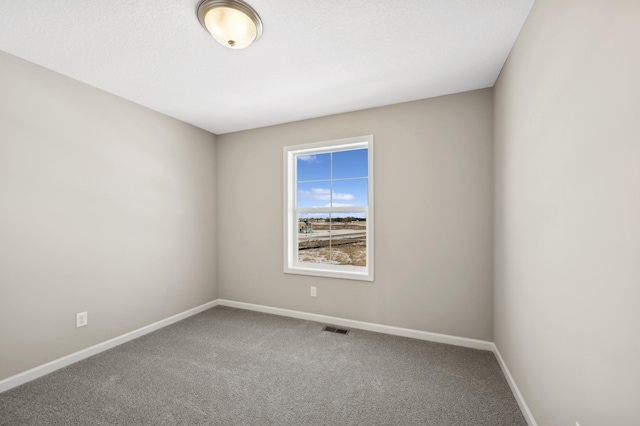 757 Greywood Blvd SW, Delano, MN 55328 - carpeted spare room with baseboards