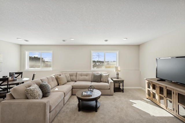 757 Greywood Blvd SW, Delano, MN 55328 - living area with healthy amount of natural light, a textured ceiling, and light colored carpet
