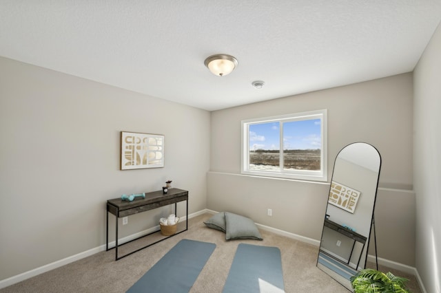 757 Greywood Blvd SW, Delano, MN 55328 - exercise area featuring carpet floors and baseboards