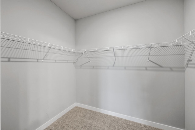 3063 126th Ln NE, Blaine, MN 55449 - photo 21