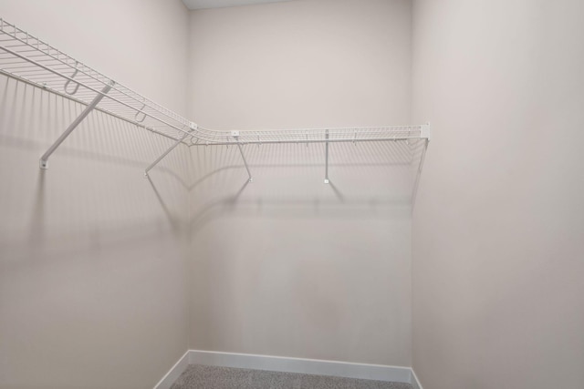13104 Ghia Ct NE, Blaine, MN 55449 - photo 31