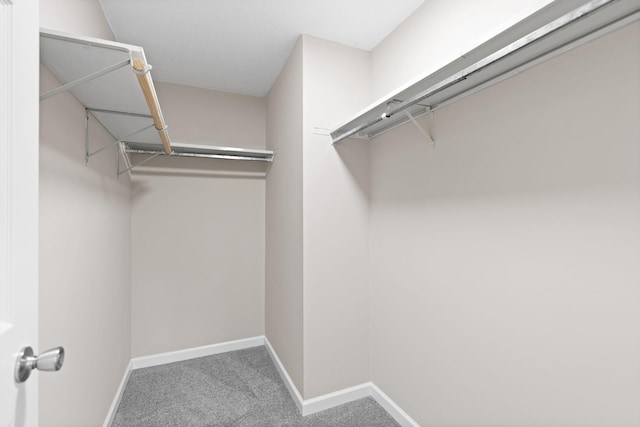 6494 Bonner Ct, Inver Grove Heights, MN 55076 - spacious closet with carpet floors