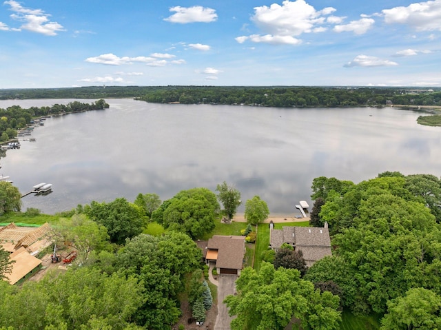 3920 Hawthorne Cir, Excelsior, MN 55331 - photo 57