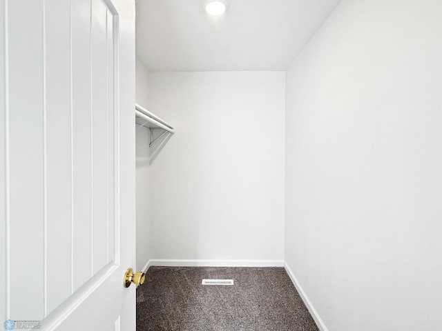 4832 51st Ave S, Fargo, ND 58104 - walk in closet with carpet flooring