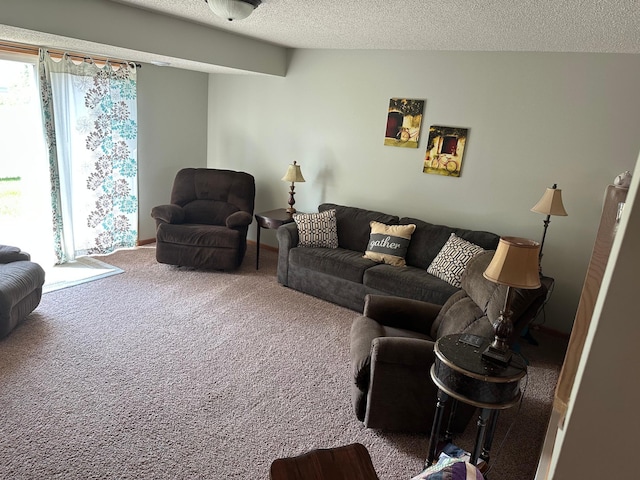 233 Pine St, Cannon Falls, MN 55009 - photo 6