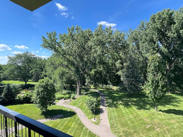 2485 Londin Ln E Unit 418, Maplewood, MN 55119 - view of green lawn