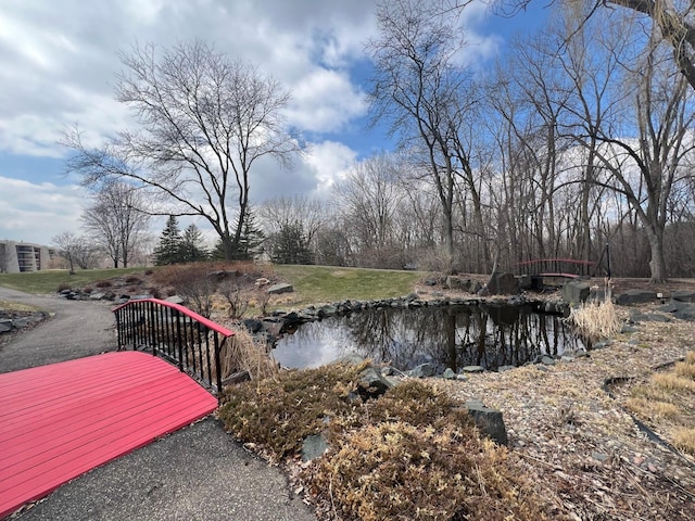 2485 Londin Ln E Unit 418, Maplewood, MN 55119 - water view