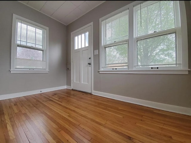 1138 7th Ave SE, Rochester, MN 55904 - entryway featuring hardwood / wood-style flooring and baseboards