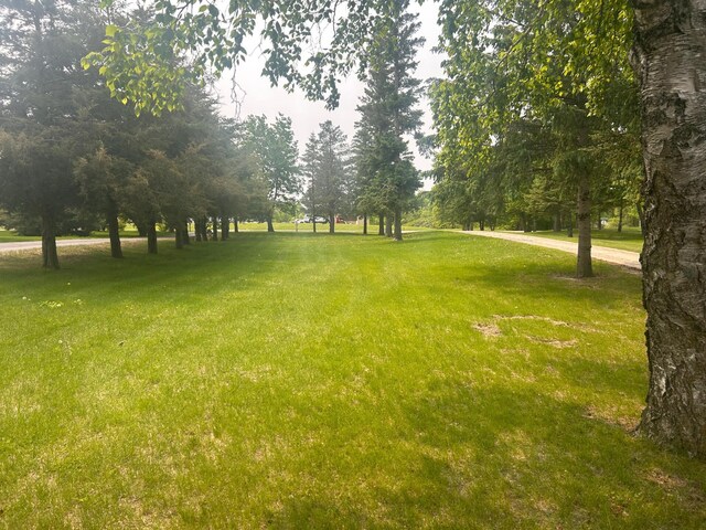 2503 Le Homme Dieu Dr NE, Alexandria, MN 56308 - photo 45