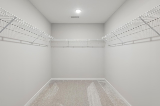14540 106th Pl N, Maple Grove, MN 55369 - walk in closet featuring carpet