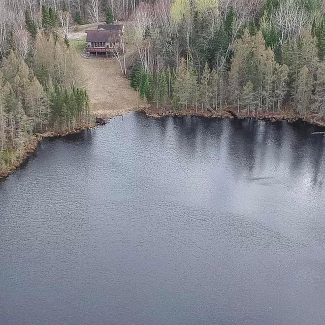 55159 Gale Lake Rd, Bigfork, MN 56628 - photo 1
