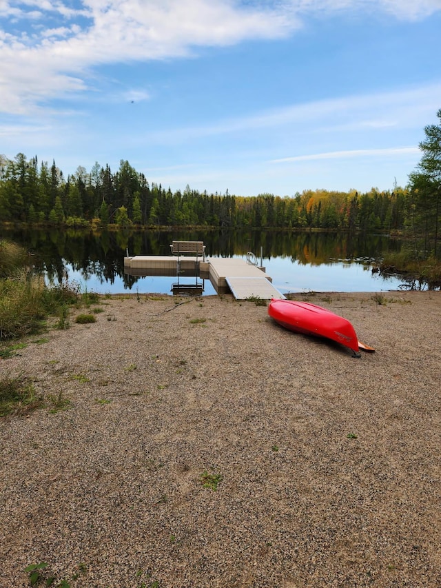 55159 Gale Lake Rd, Bigfork, MN 56628 - photo 2
