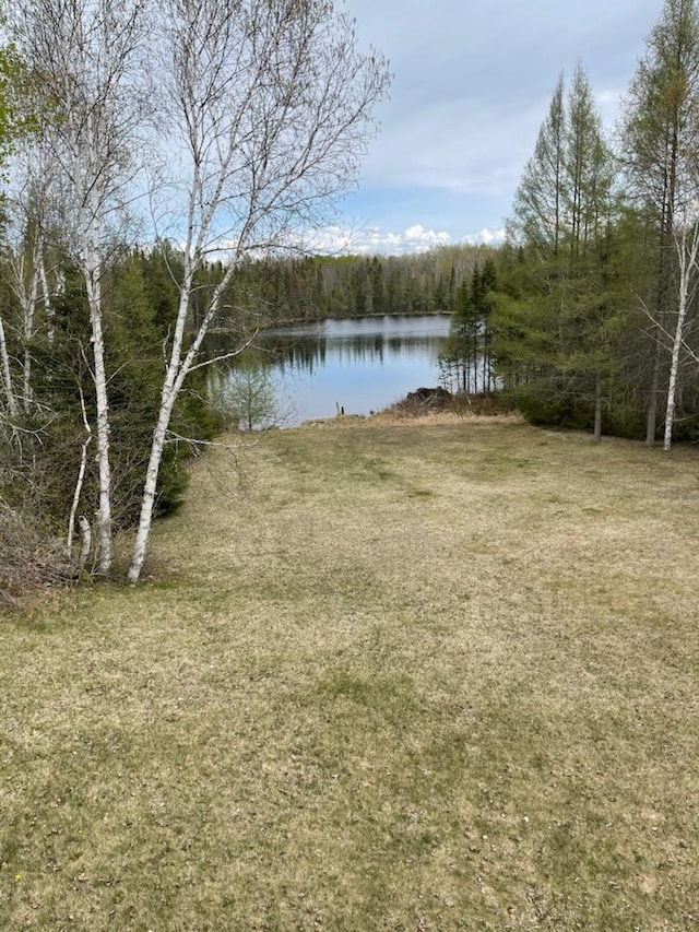 55159 Gale Lake Rd, Bigfork, MN 56628 - photo 3