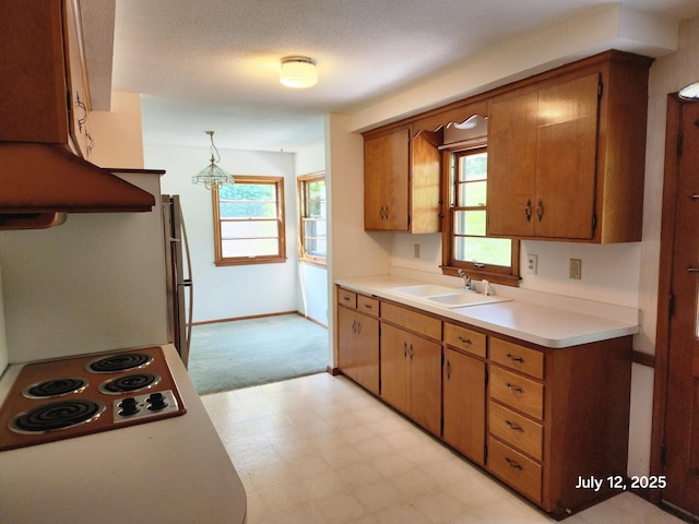5043 Overlook Cir, Bloomington, MN 55437 - kitchen with light floors, electric cooktop, light countertops, under cabinet range hood, and brown cabinets