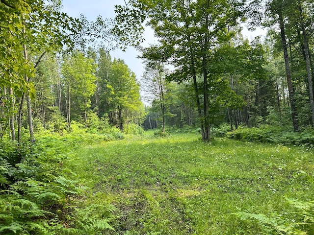 36998 690th Ln, Hill Lake Twp, MN 55748 - photo 21