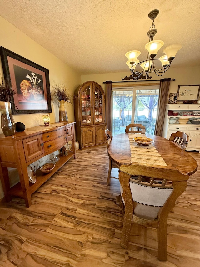 1208 Wendt Dr, Thief River Falls, MN 56701 - photo 19