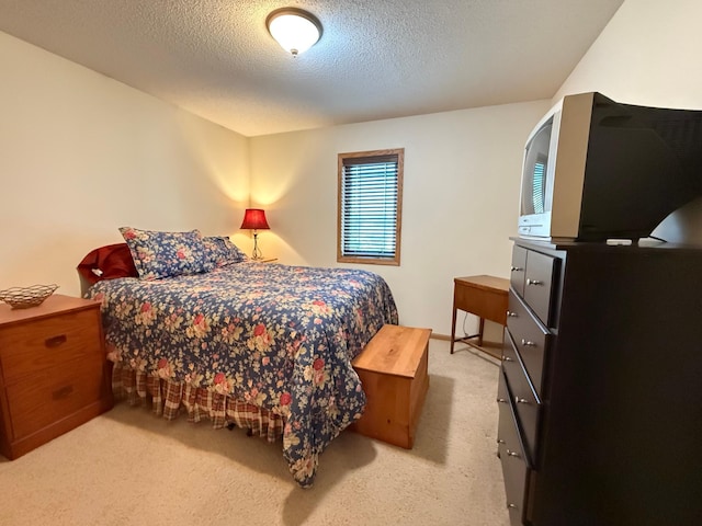 1208 Wendt Dr, Thief River Falls, MN 56701 - photo 39
