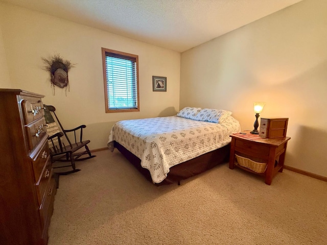 1208 Wendt Dr, Thief River Falls, MN 56701 - photo 41