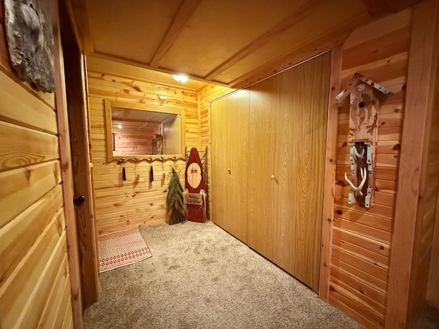 1208 Wendt Dr, Thief River Falls, MN 56701 - photo 43