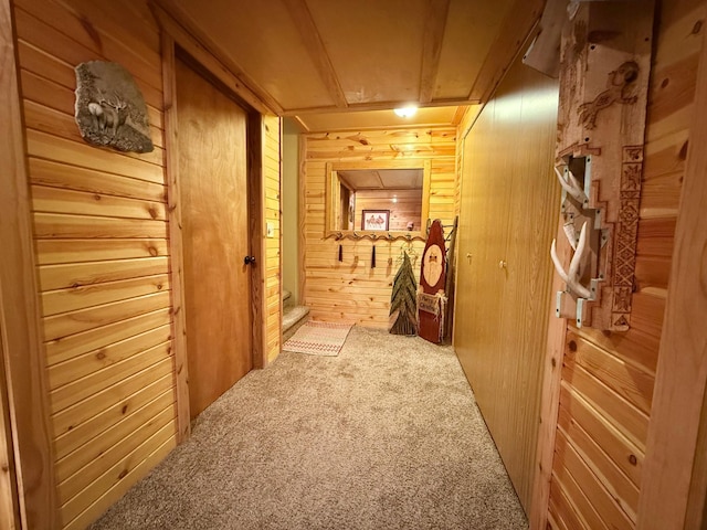1208 Wendt Dr, Thief River Falls, MN 56701 - photo 44