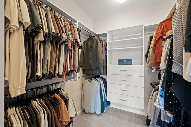 8120 Arrowwood Ln N, Maple Grove, MN 55369 - walk in closet with carpet floors