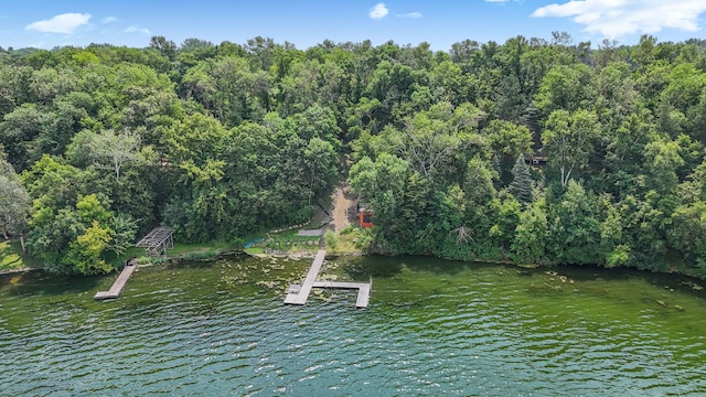 20854 Elmway Rd, Richmond, MN 56368 - photo 40