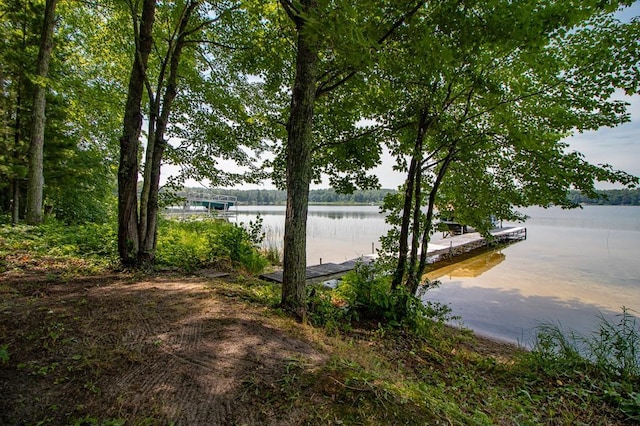 19548 Blue Ln E, Emily, MN 56447 - photo 4