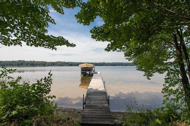 19548 Blue Ln E, Emily, MN 56447 - photo 5