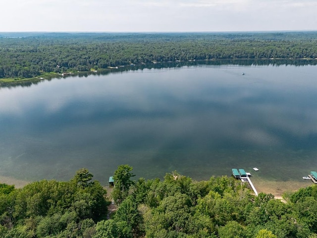 19548 Blue Ln E, Emily, MN 56447 - photo 12
