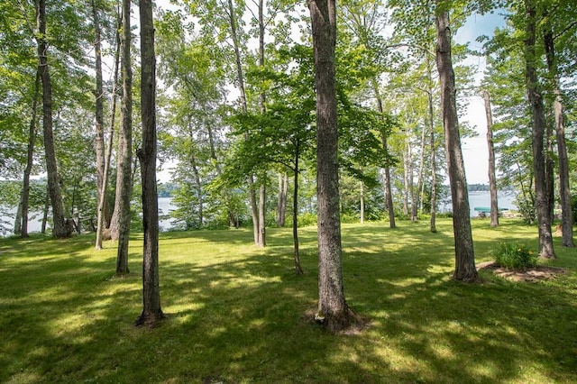 19548 Blue Ln E, Emily, MN 56447 - photo 19