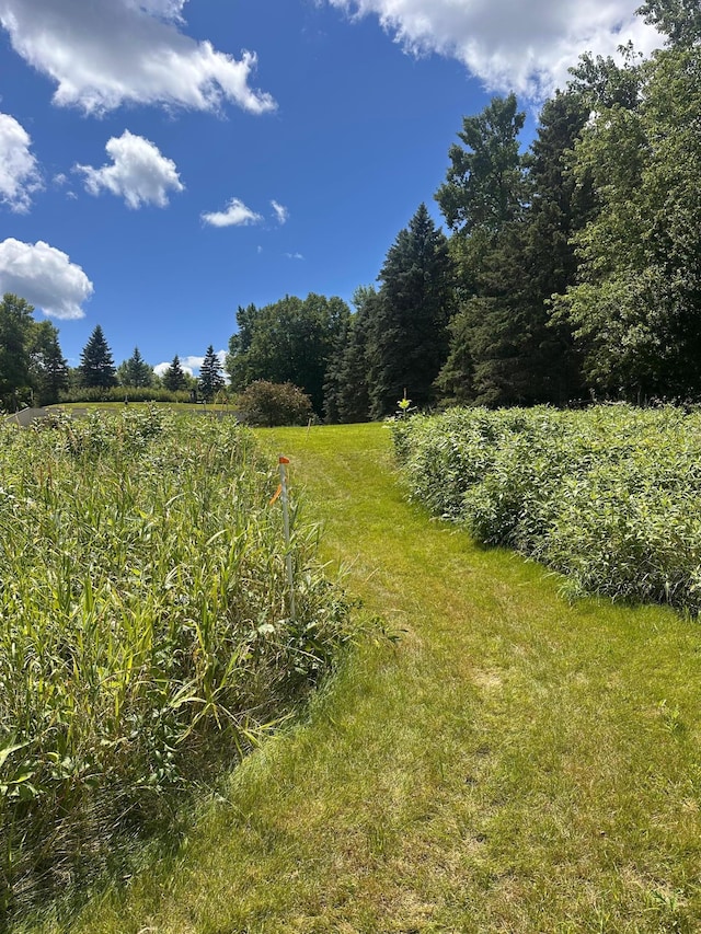 12973 Tanglewood Rd NW, Brandon, MN 56315 - photo 6