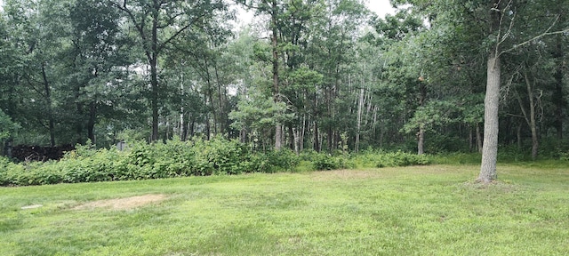 TBD Blueberry River Dr, Menahga, MN 56464 - photo 1