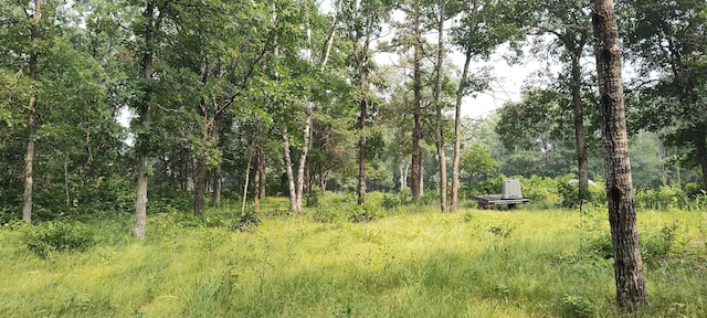 TBD Blueberry River Dr, Menahga, MN 56464 - photo 3