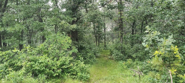 TBD Blueberry River Dr, Menahga, MN 56464 - photo 4
