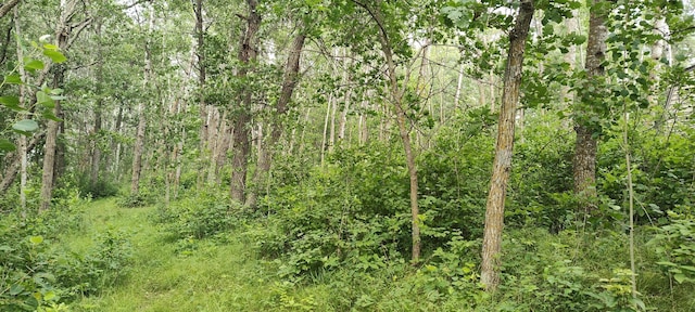 TBD Blueberry River Dr, Menahga, MN 56464 - photo 5