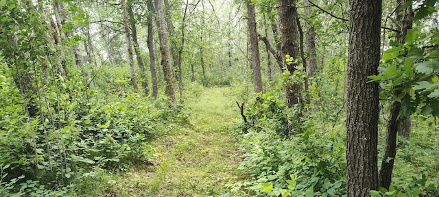 TBD Blueberry River Dr, Menahga, MN 56464 - photo 6