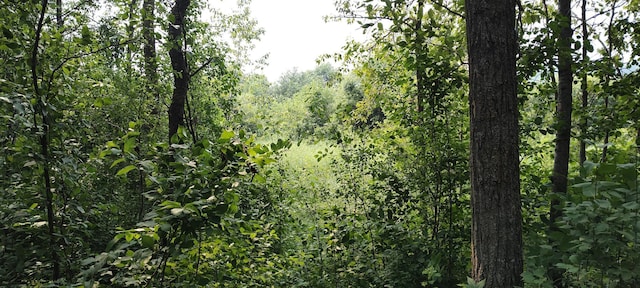TBD Blueberry River Dr, Menahga, MN 56464 - photo 8