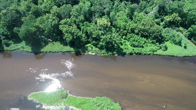 TBD Azalea Rd, Motley Twp, MN 56466