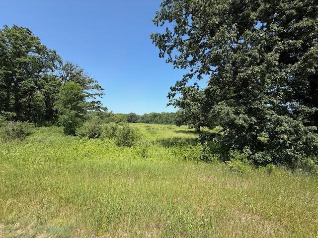 TBD Azalea Rd, Motley Twp, MN 56466