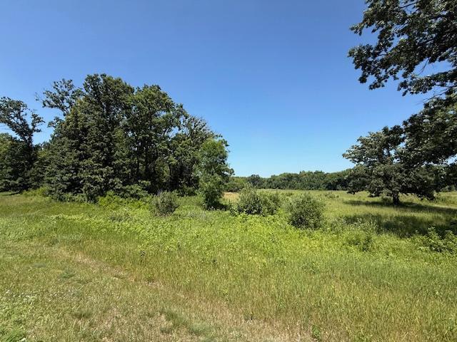 TBD Azalea Rd, Motley Twp, MN 56466