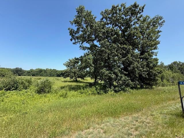 TBD Azalea Rd, Motley Twp, MN 56466