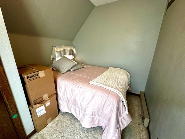 2716 Canterbury Dr, Bigelow, MN 56117 - bedroom with carpet floors and lofted ceiling