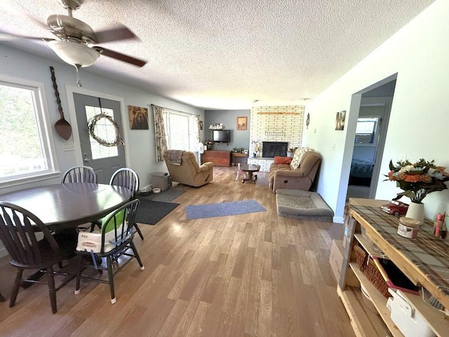 25250 County Road 113, Detroit Lakes, MN 56501 - photo 13