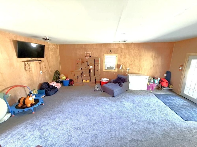 25250 County Road 113, Detroit Lakes, MN 56501 - photo 26