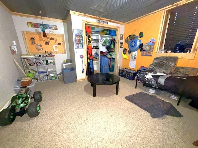 25250 County Road 113, Detroit Lakes, MN 56501 - photo 36